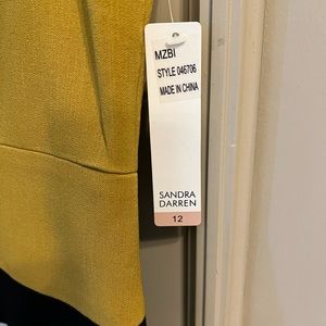 Sandra Darren Woman’s Sleeveless fitted dress. Size 12 New with tag.